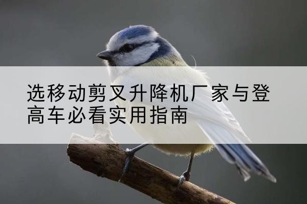 汉南电动升降机厂家-选移动剪叉升降机厂家与登高车必看实用指南