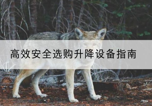 汉南升降货梯厂家推荐-*安全选购升降设备指南