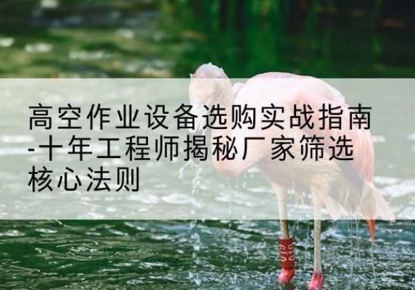 汉南剪叉式升降机厂家-高空作业设备选购实战指南-十年工程师揭秘厂家筛选核心法则